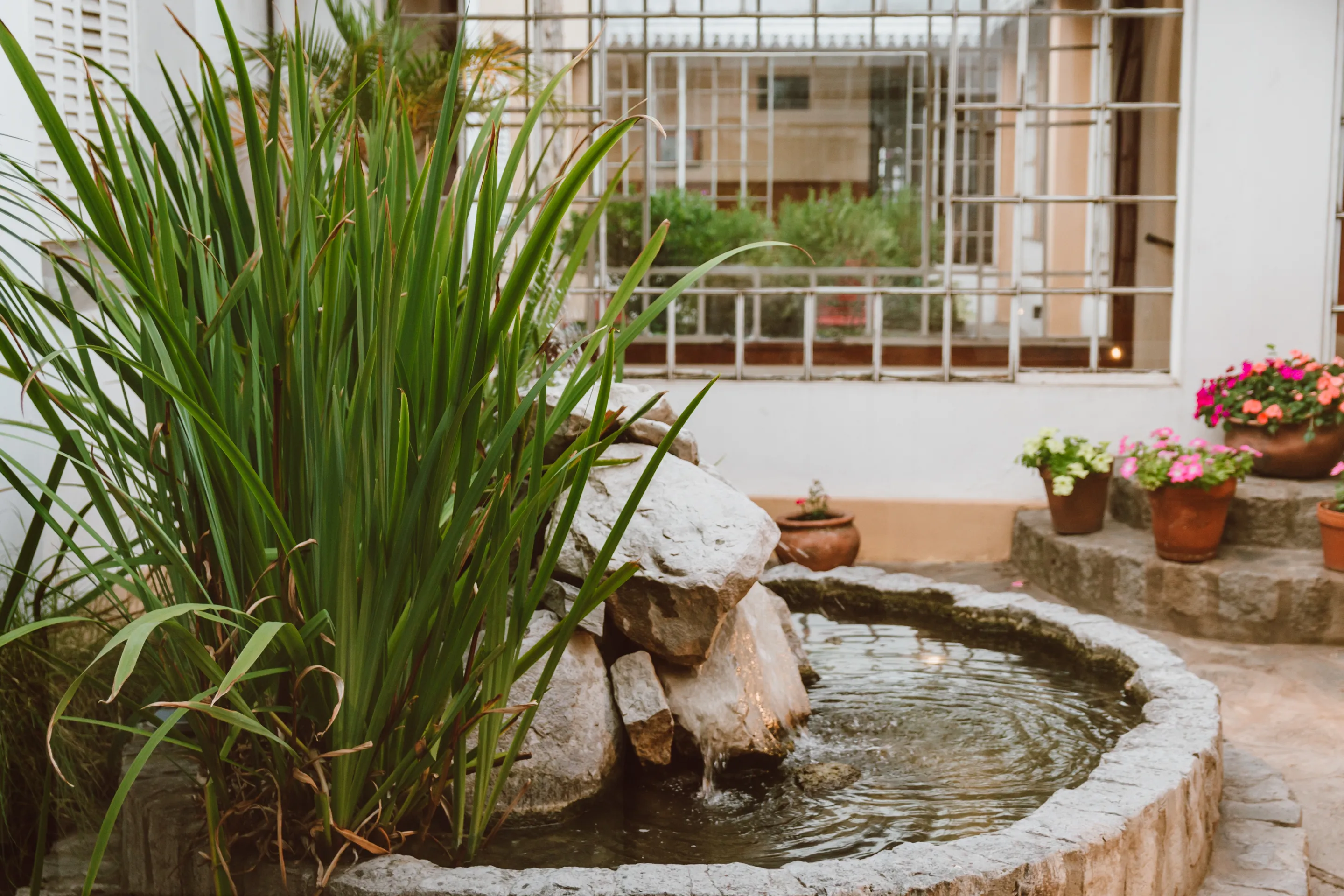 Hotel Francia - Jardin