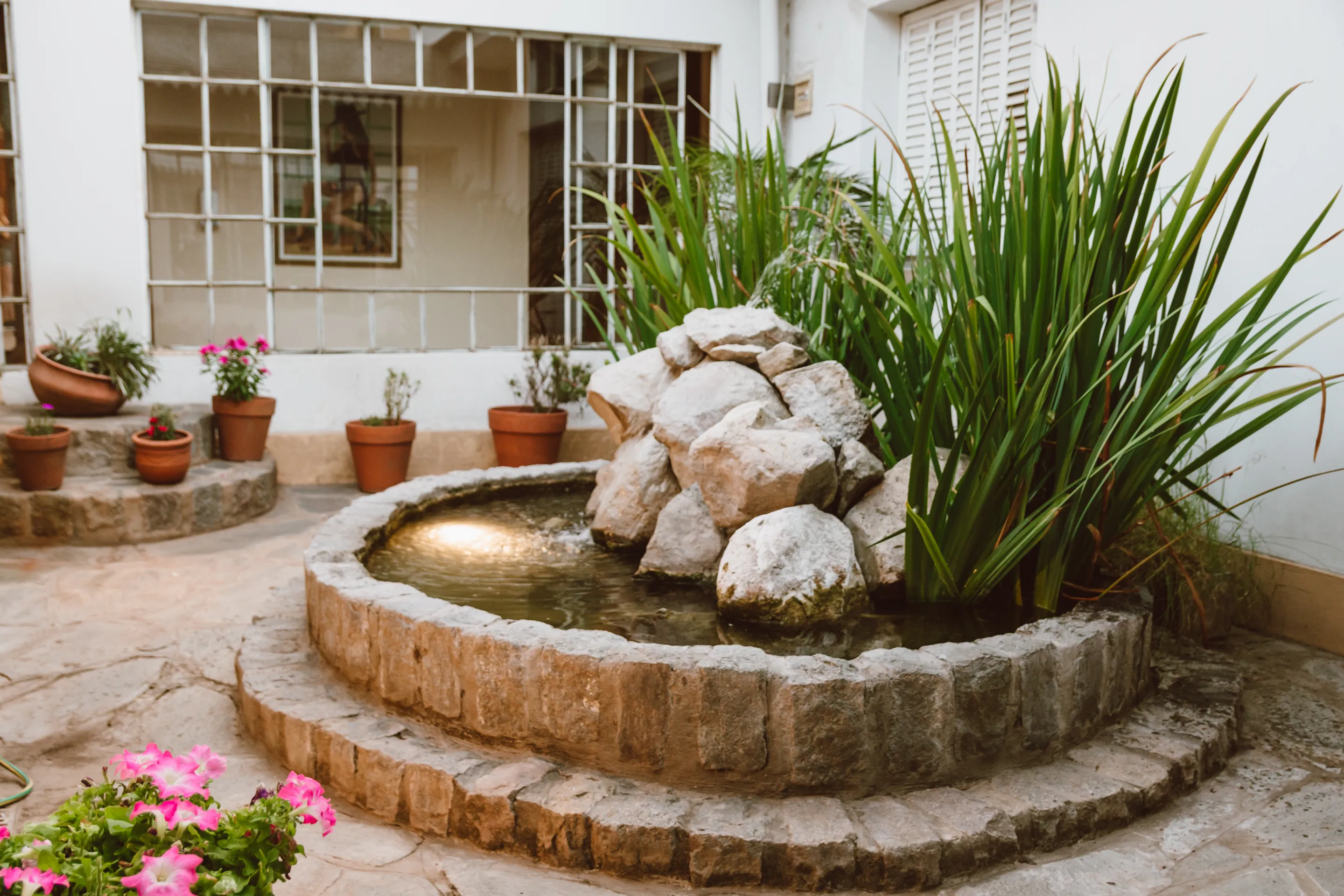 Hotel Francia - Jardin