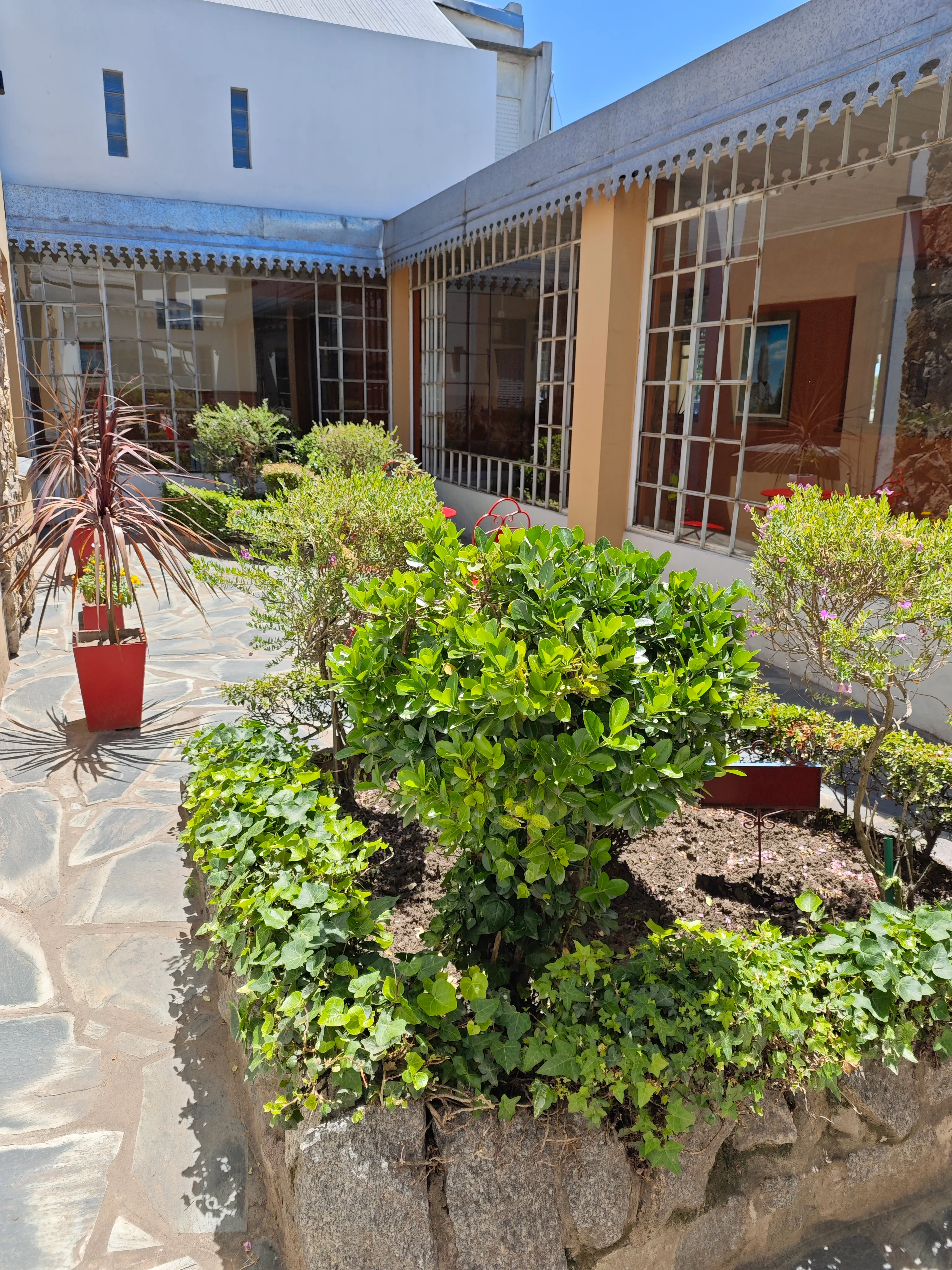 Hotel Francia - Jardin